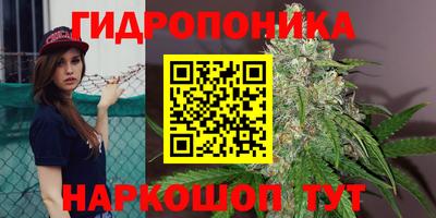 прущие грибы Тверь