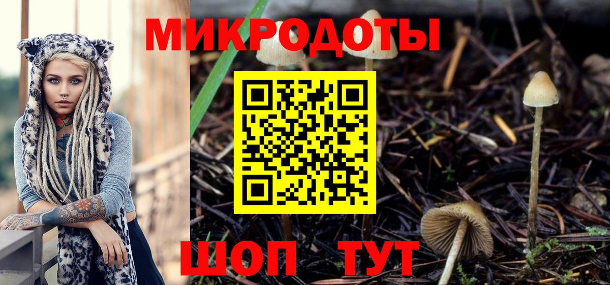 Псилоцибиновые грибы Psilocybine cubensis Фурманов