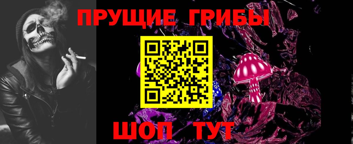 Псилоцибиновые грибы MAGIC MUSHROOMS  Вход с VPN  Фурманов  Галлюциногенные грибы Psilocybine cubensis 