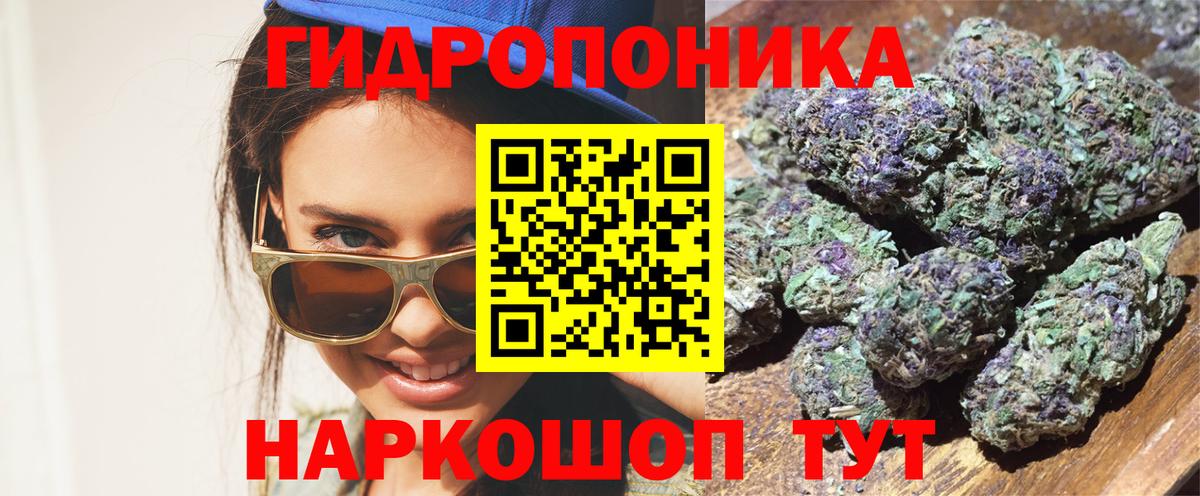 Бошки марихуана конопля  Марихуана Bruce Banner  Фурманов  Вход с VPN  Марихуана OG Kush 